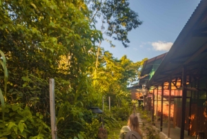 Tambopata Tour 2 days/1 night Sandoval Lake: nature and boat rides