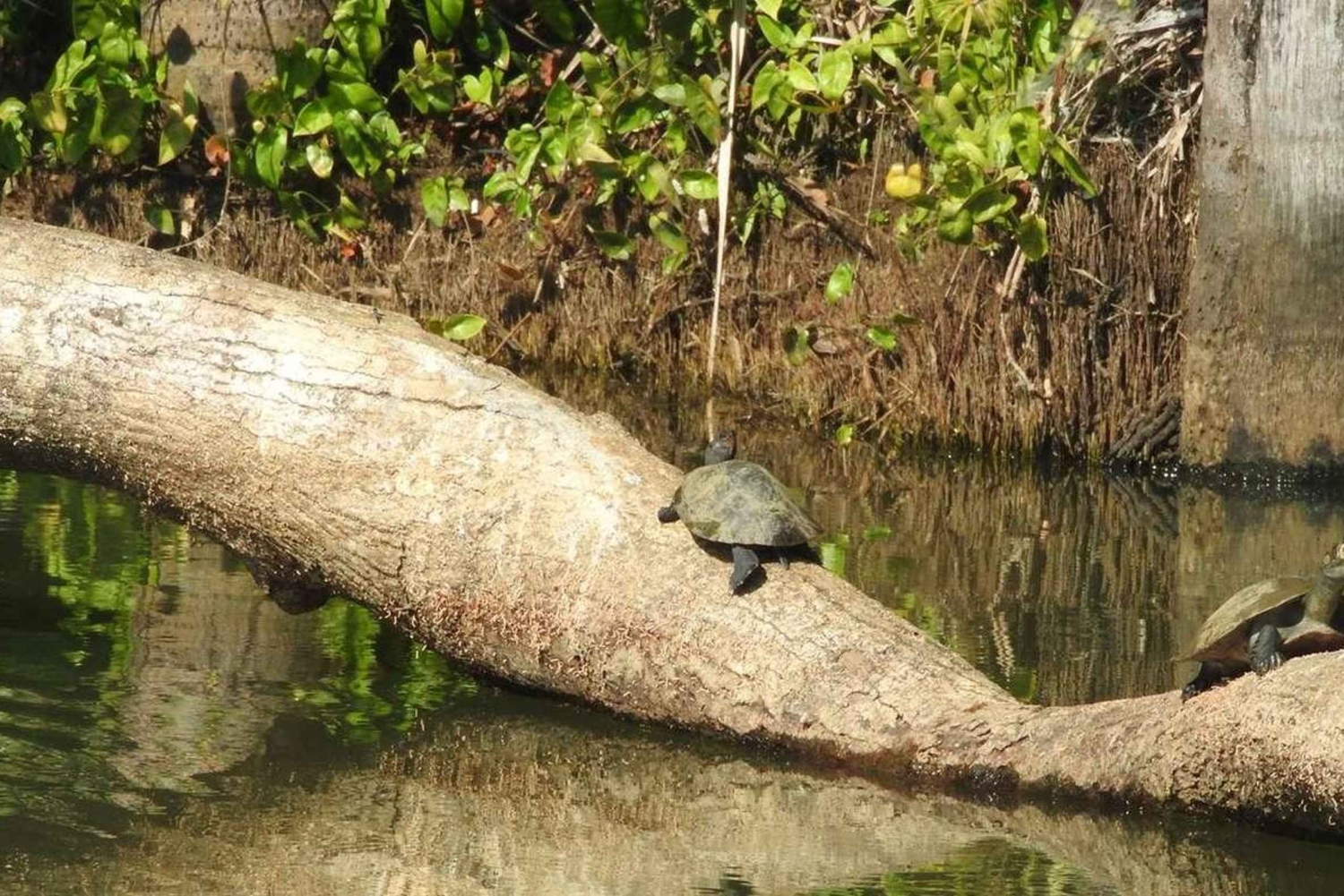 タンボパタツアー 3日間