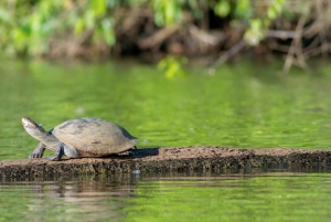 Tambopata Tour 3 Days