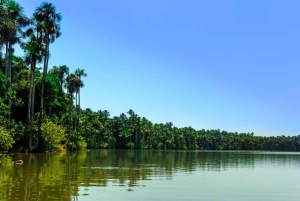 Tambopata Tour 3 Days