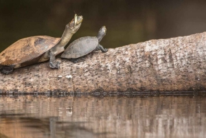 タンボパタツアー 3日間