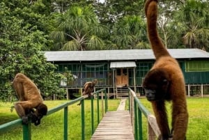 Tambopata Tour 4 Dias Particular