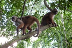 Tambopata Tour 4 Dias Particular