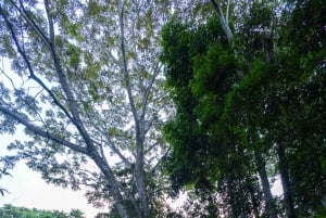 Tambopata trailrunning 5-10 km