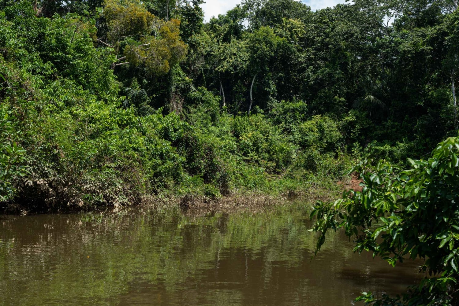 Tambopata: wildlifetour met anaconda's en ara's