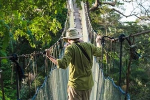 Tambopata: Ziplineäventyr och kajak till Monkey Island
