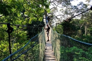 Tambopata: Zipline Adventure og kajakk til Monkey Island