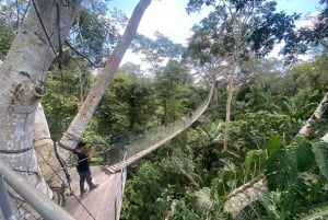 Tambopata: Apinasaari: Zipline-seikkailu & kajakki Apinasaareen