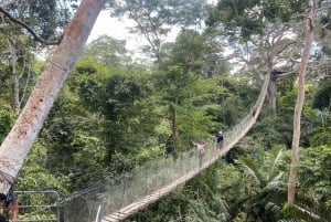 Tambopata: Apinasaari: Zipline-seikkailu & kajakki Apinasaareen