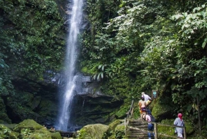Tarapoto Tour: Ahuashiyacu Waterfall