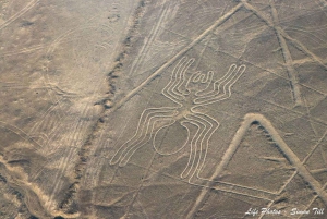 The Nazca lines & Buggy at Huacachina Oasis - Full day