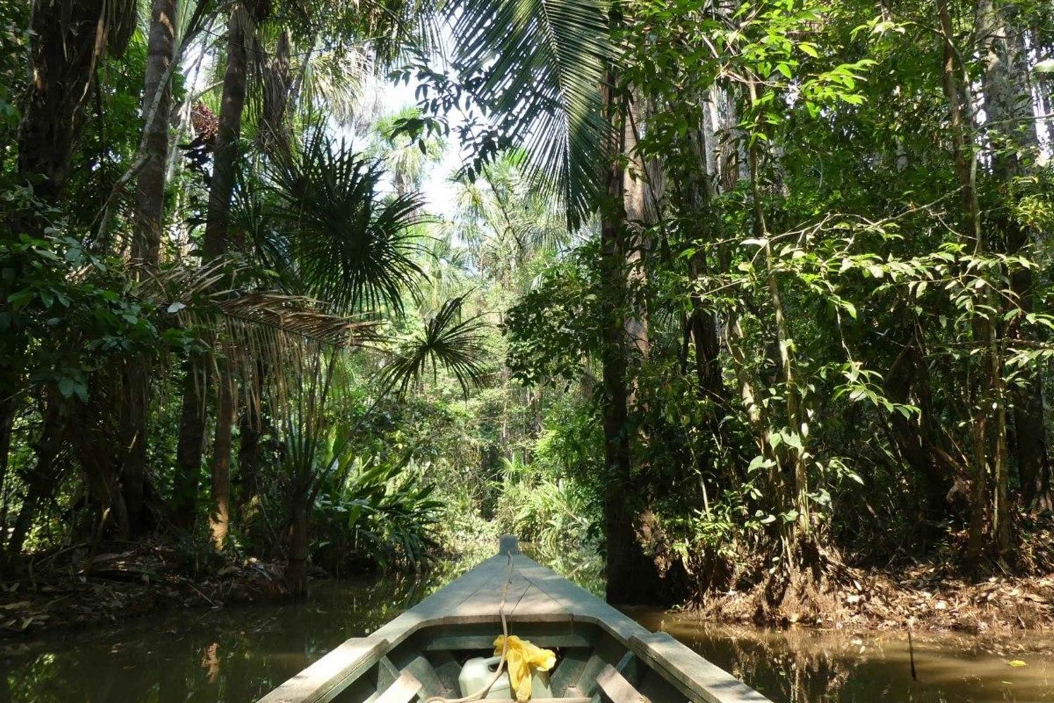 Tour en Kayak +Isla de los Monos full day