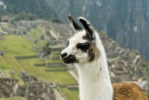 Tour Inti Raymi y Machu Picchu 5 dias 4 noches