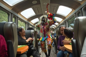 Tour Machu Picchu 1 Dia Tren Panoramico, Ticket y Guia