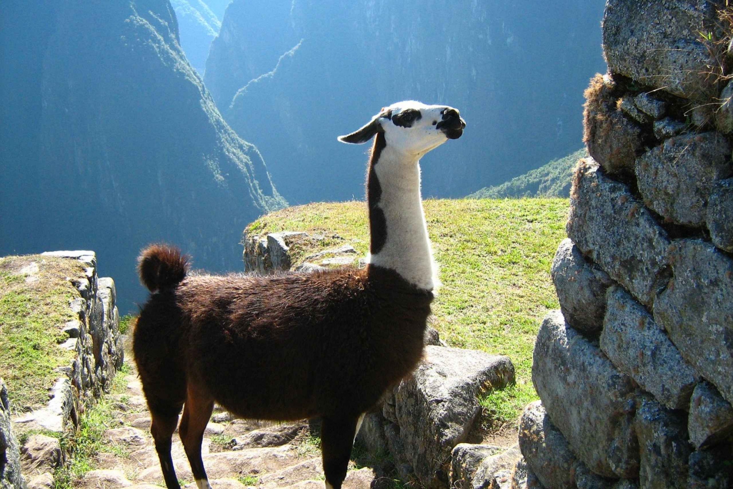 Tour Machu Picchu + Montaña Huayna Picchu