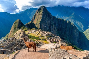 Wycieczka Machu Picchu + Góra Huayna Picchu 2 dni