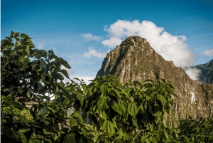 Wycieczka Machu Picchu + Góra Huayna Picchu 2 dni