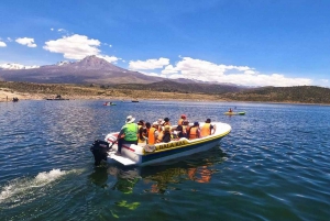 Tour of Salinas and Yanaorco lagoons + Lojen thermal baths