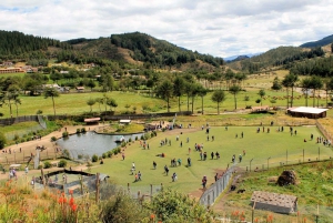 || Recorrido por el Valle de Cajamarca - Laguna de San Nicolás