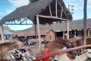 GIRO DELLA CITTÀ DI CUSCO