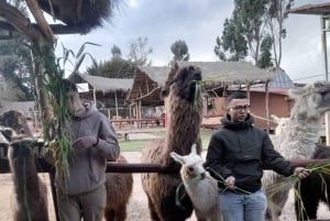 GIRO DELLA CITTÀ DI CUSCO