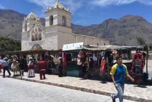 Tour one Day Colca Canyon from Arequipa promotional price