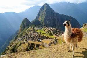 TOUR A MACHU PICCHU DE DÍA COMPLETO EN TREN - La Mejor Aventura