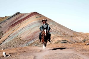 Cusco: Montaña de Colores Palcoyo with Breakfast and Lunch