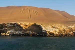 Tour naar Paracas en Tambo Colorado voor geschiedenisliefhebbers