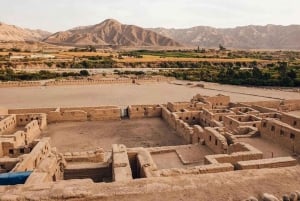 Tour naar Paracas en Tambo Colorado voor geschiedenisliefhebbers