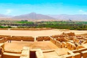 Tour naar Paracas en Tambo Colorado voor geschiedenisliefhebbers
