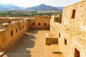 Tour naar Paracas en Tambo Colorado voor geschiedenisliefhebbers