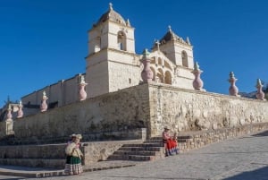 Från Arequipa: Heldagstur Colca Canyon + Transfer till Puno