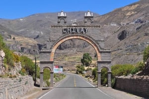 Från Arequipa: Heldagstur Colca Canyon + Transfer till Puno