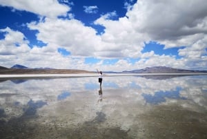 Tur til Salinas-lagunen og nasjonalreservatet i Arequipa