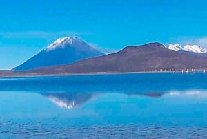 Wycieczka do laguny Salinas i rezerwatu narodowego w Arequipie