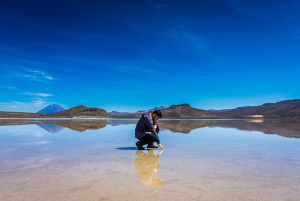 Visite de la lagune de Salinas et de la réserve nationale d'Arequipa
