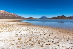 Visite de la lagune de Salinas et de la réserve nationale d'Arequipa