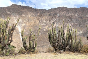 transport Arequipa till Cabanaconde (Colca)