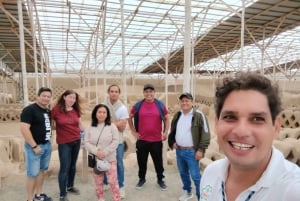 Trujillo: Chan Chan, Huacas, and Huanchaco Day Trip