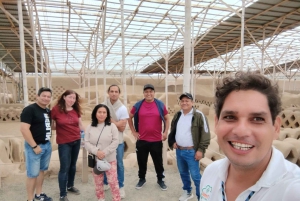 Trujillo: Chan Chan, Huacas e Huanchaco: gita di 1 giorno