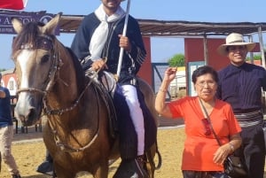 Trujillo Moon & Sun Temples,Horses Show,chan chan,Huanchaco