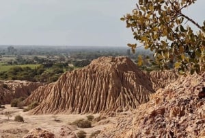 Chiclayo: Túcumen pyramidit ja Pomacin sademetsä