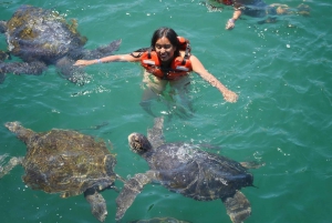 Tumbes: Strandpromenad och simning med sköldpaddor