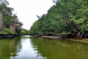Tumbes || Islands and mangroves of Puerto Pizarro