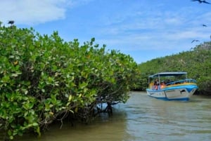 Tumbes || Islands and mangroves of Puerto Pizarro