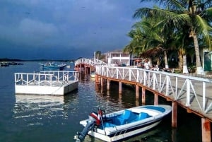 Tumbes || Islands and mangroves of Puerto Pizarro