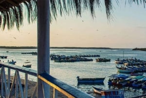Tumbes || Islands and mangroves of Puerto Pizarro