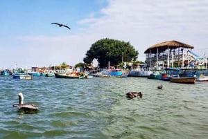Tumbes || Islands and mangroves of Puerto Pizarro