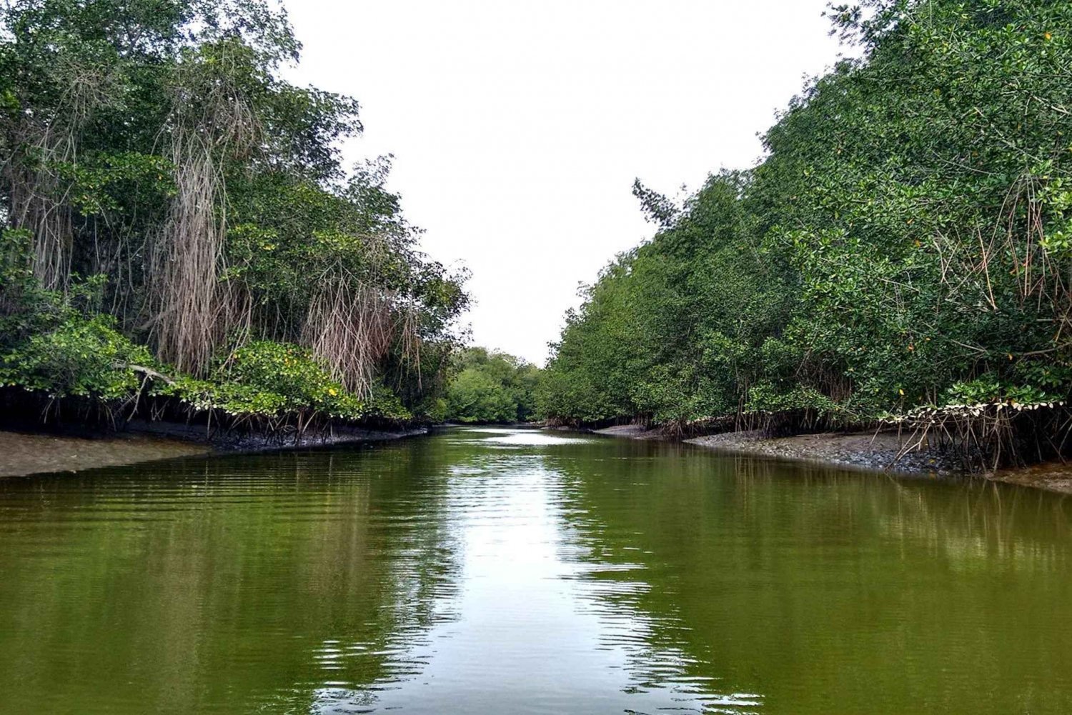Tumbes: Puerto Pizarro-öar och mangroveskogar